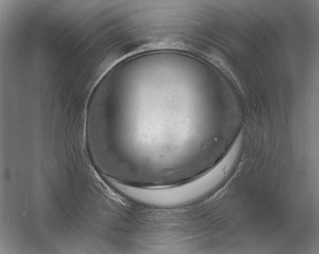 X0000060221228200510281059
