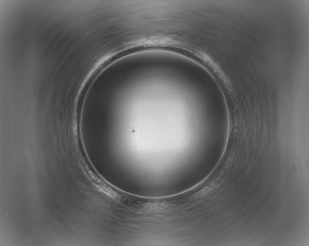 X0000060221232200510281059