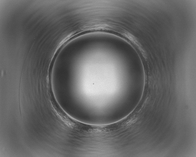 X0000060221234200510281059