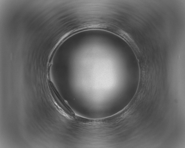 X0000060221236200510281059