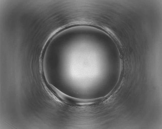 X0000060221238200510281059
