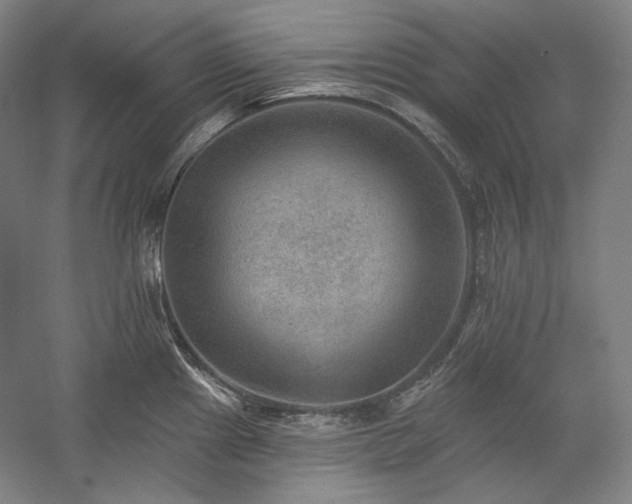 X0000060221241200510281059