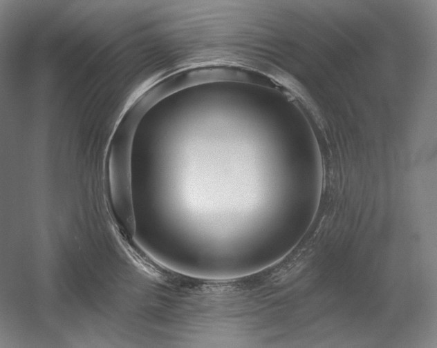 X0000060221242200510281059