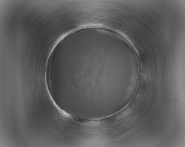 X0000060221245200510281059