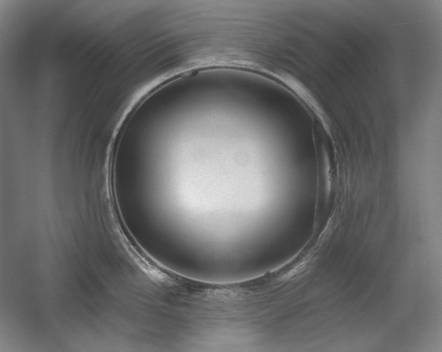 X0000060221246200510281059