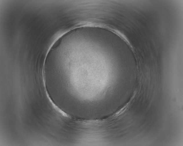 X0000060221247200510281059