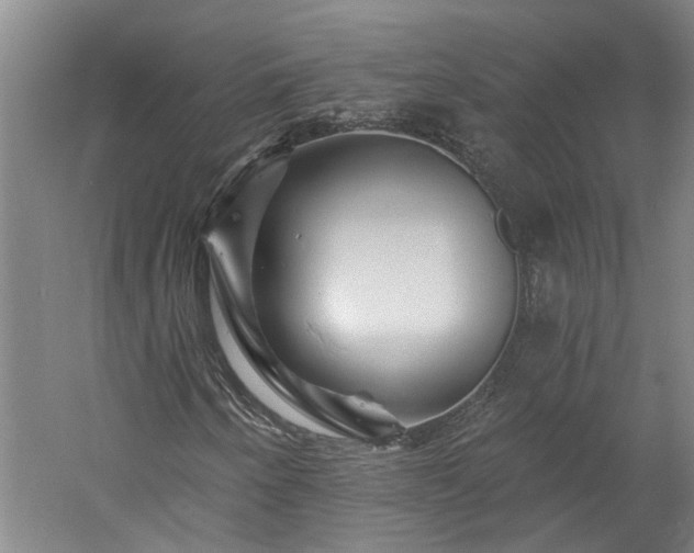 X0000060221250200510281059