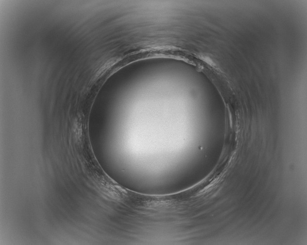 X0000060221257200510281059