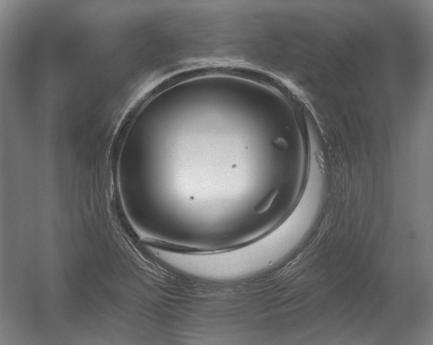 X0000060221271200510281058