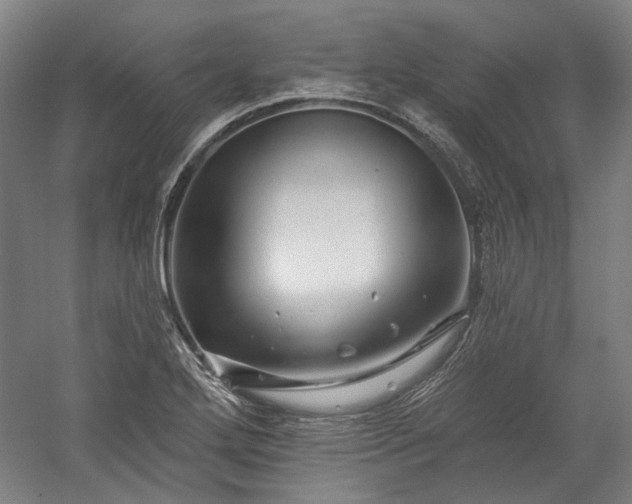 X0000060221272200510281058