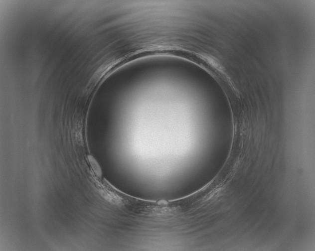 X0000060221273200510281058
