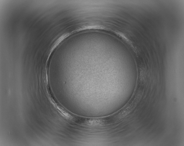 X0000060221274200510281058