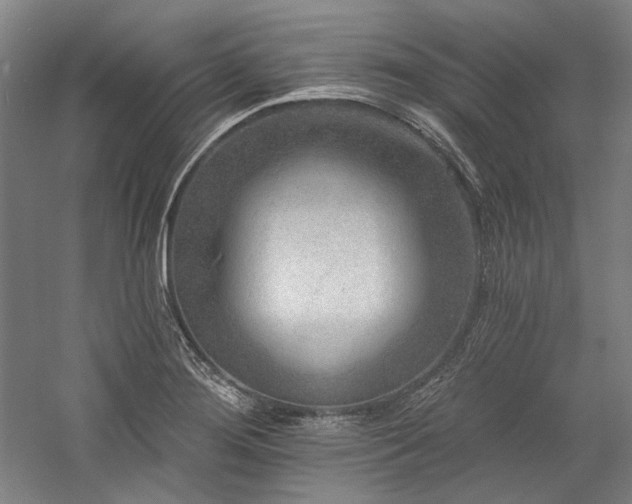 X0000060221276200510281058