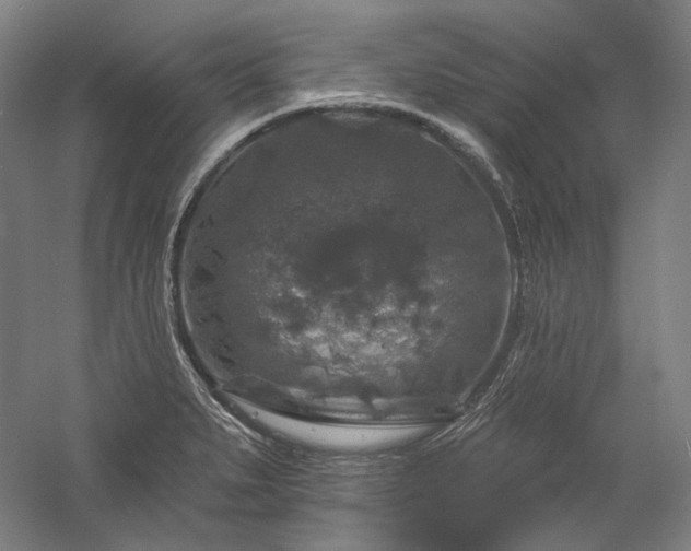 X0000060221279200510281058