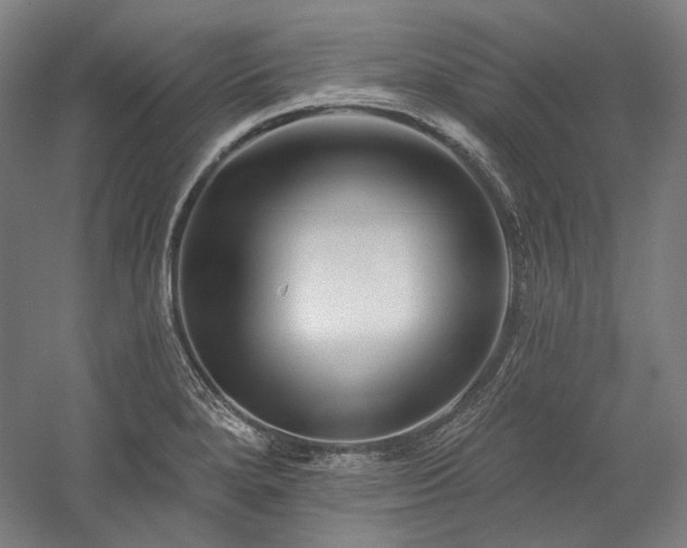 X0000060221280200510281058