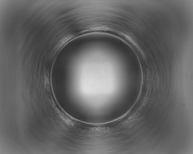X0000060221281200510281058