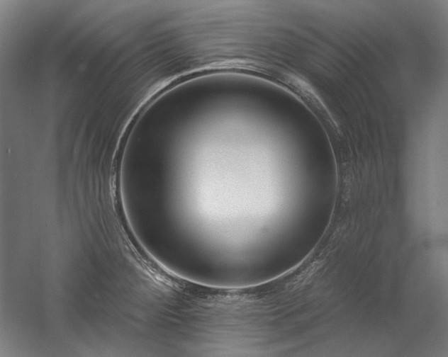 X0000060221284200510281058