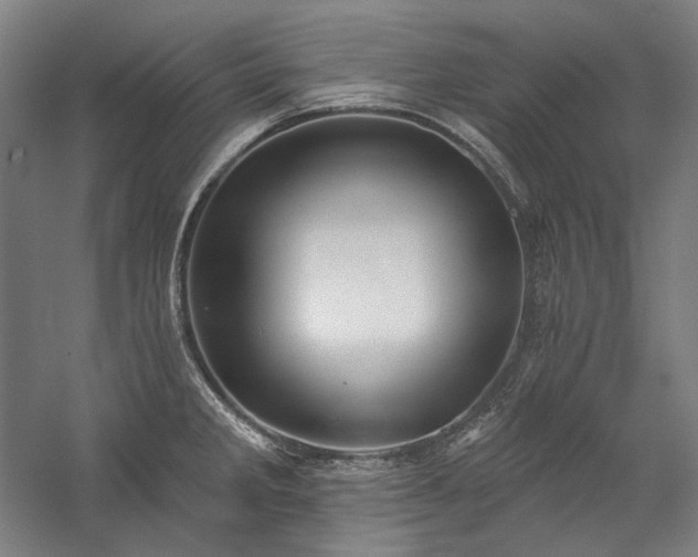 X0000060221285200510281058