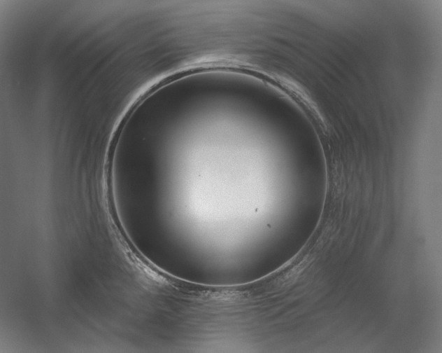 X0000060221288200510281058