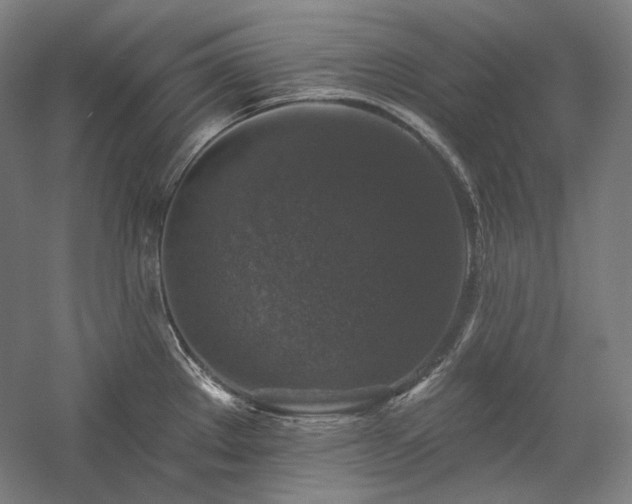 X0000060221289200510281058