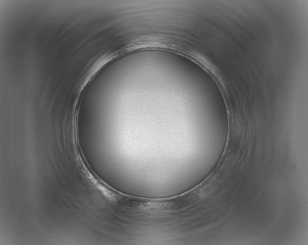 X0000060221290200510281058