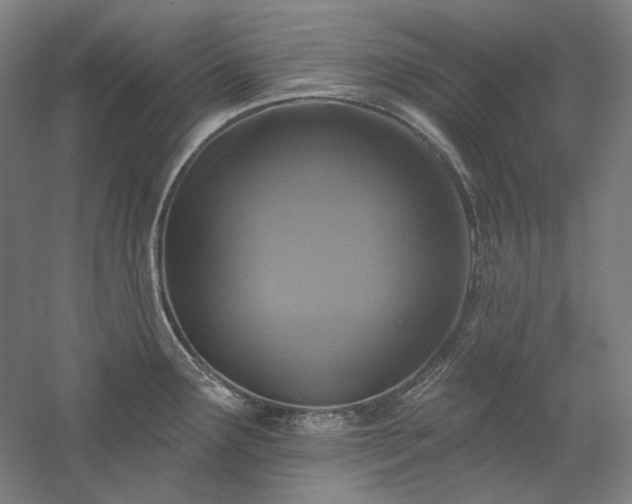 X0000060221291200510281058