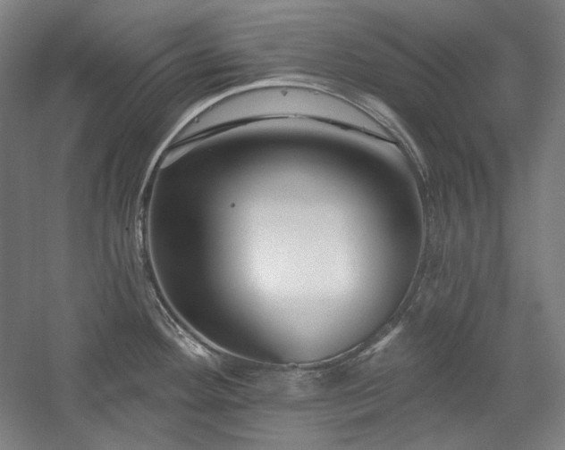 X0000060221292200510281058