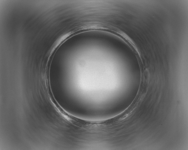 X0000060221293200510281058