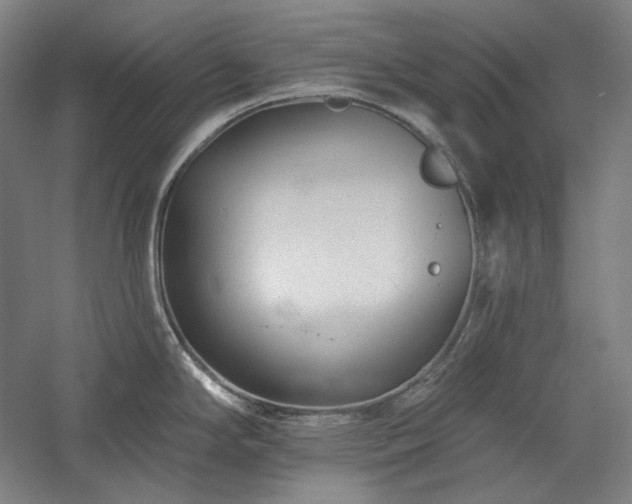 X0000060221294200510281058