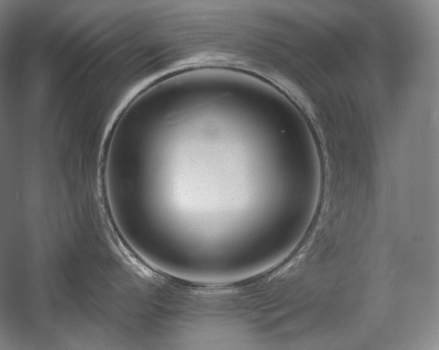 X0000060221296200510281058