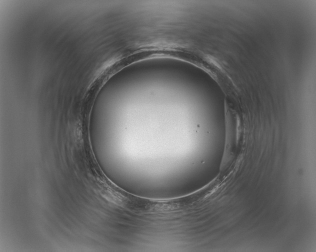 X0000060221307200510281057