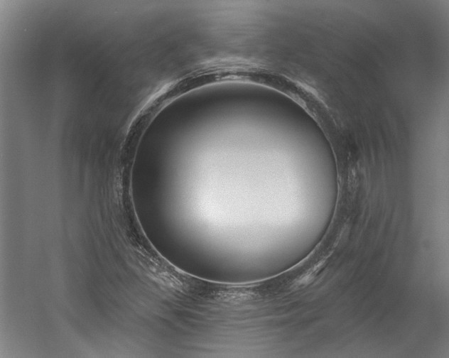 X0000060221309200510281057