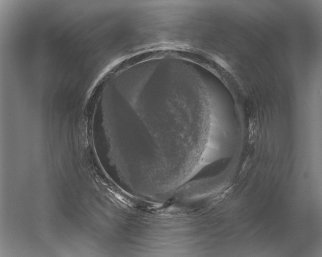 X0000060221310200510281057
