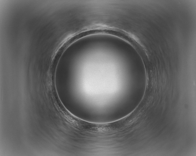 X0000060221318200510281057