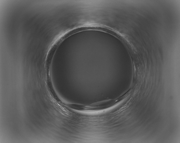 X0000060221319200510281057