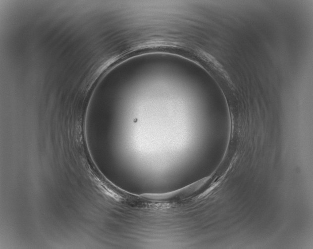 X0000060221321200510281057