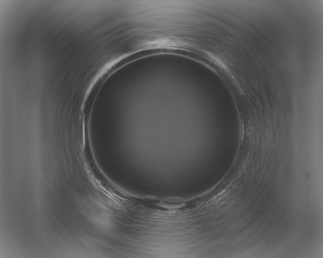 X0000060221323200510281058