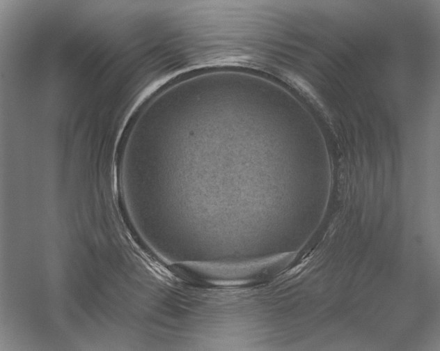 X0000060221324200510281058