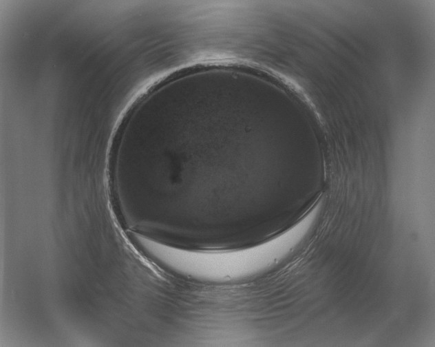 X0000060221327200510281058
