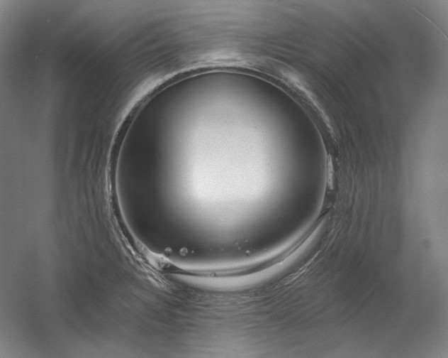 X0000060221328200510281058