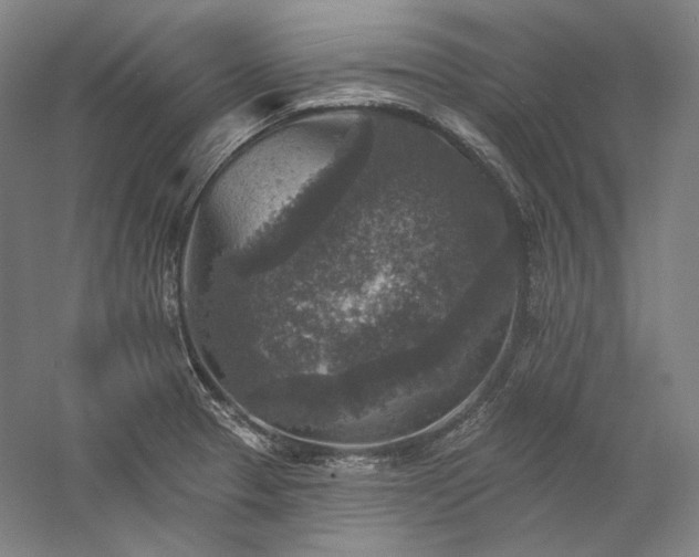 X0000060221329200510281058