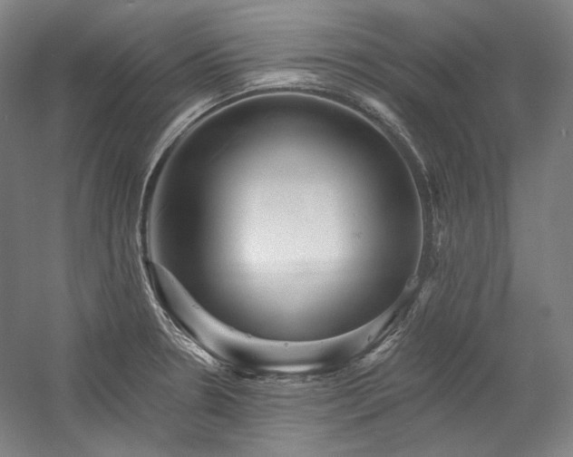 X0000060221330200510281058