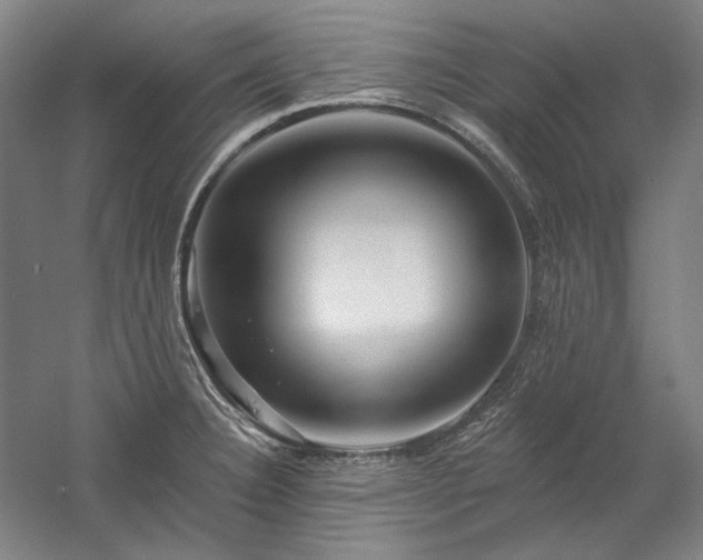 X0000060221332200510281058