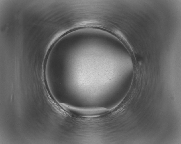 X0000060221336200510281058