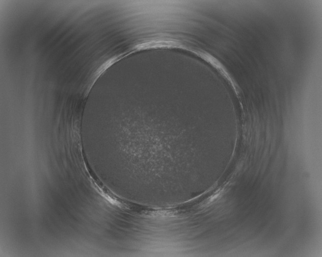 X0000060221337200510281058