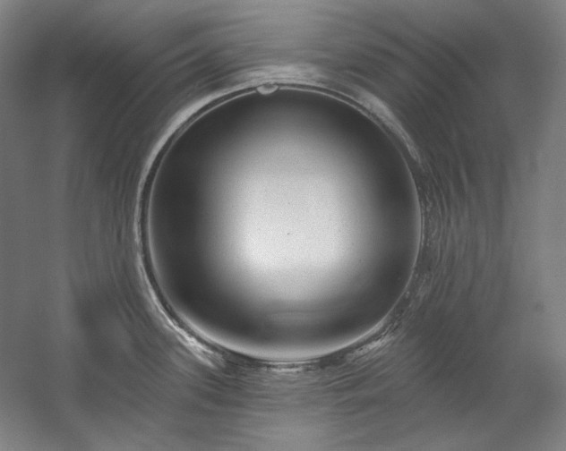 X0000060221339200510281058