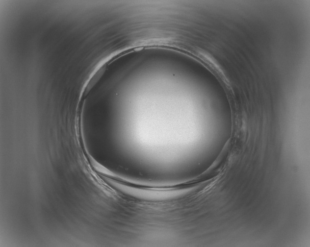 X0000060221340200510281058