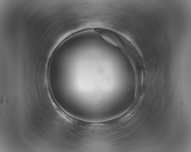 X0000060221342200510281058