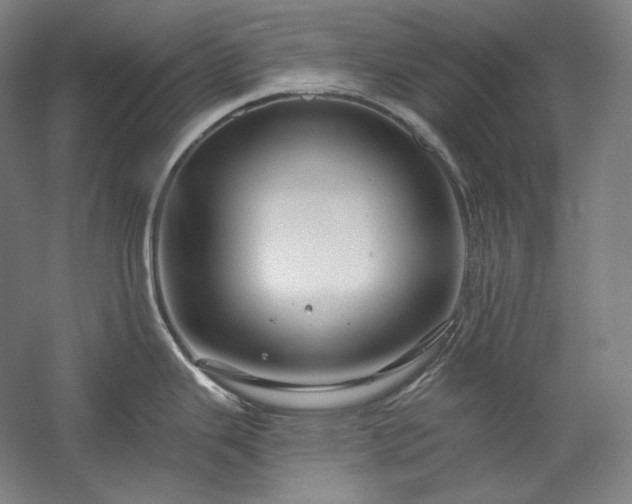 X0000060221343200510281058
