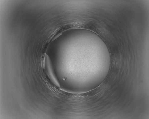X0000060221346200510281057
